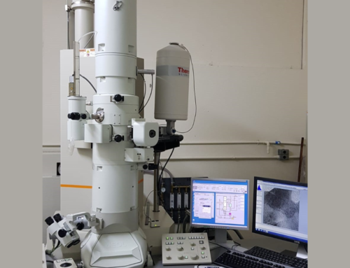 Microscopia Eletrônica de Transmissão